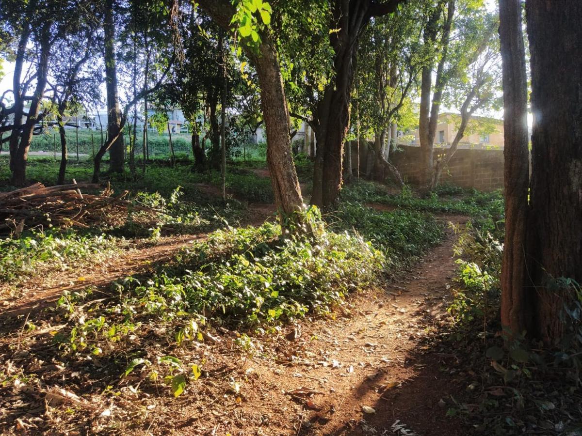 Vereda Bike Park Hotel เซาโจเอา เดล เฮย์ ภายนอก รูปภาพ