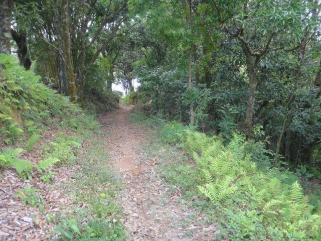 Vereda Bike Park Hotel เซาโจเอา เดล เฮย์ ภายนอก รูปภาพ