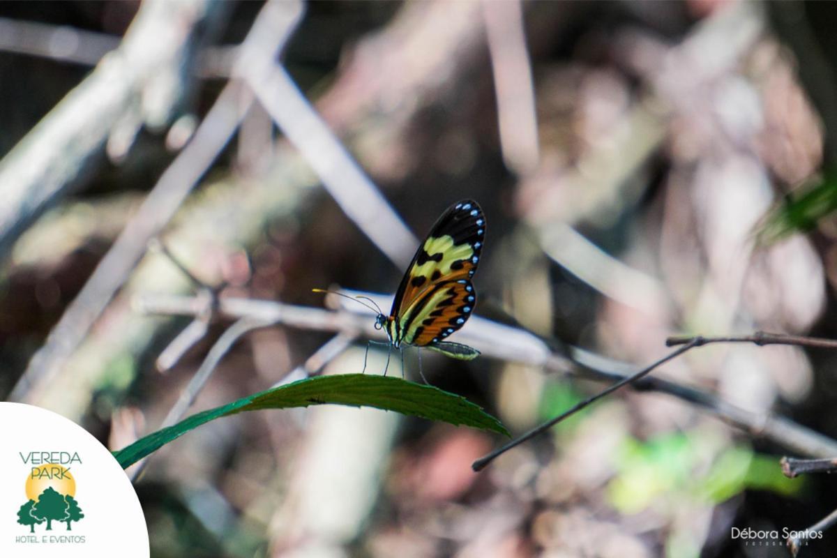 Vereda Bike Park Hotel เซาโจเอา เดล เฮย์ ภายนอก รูปภาพ